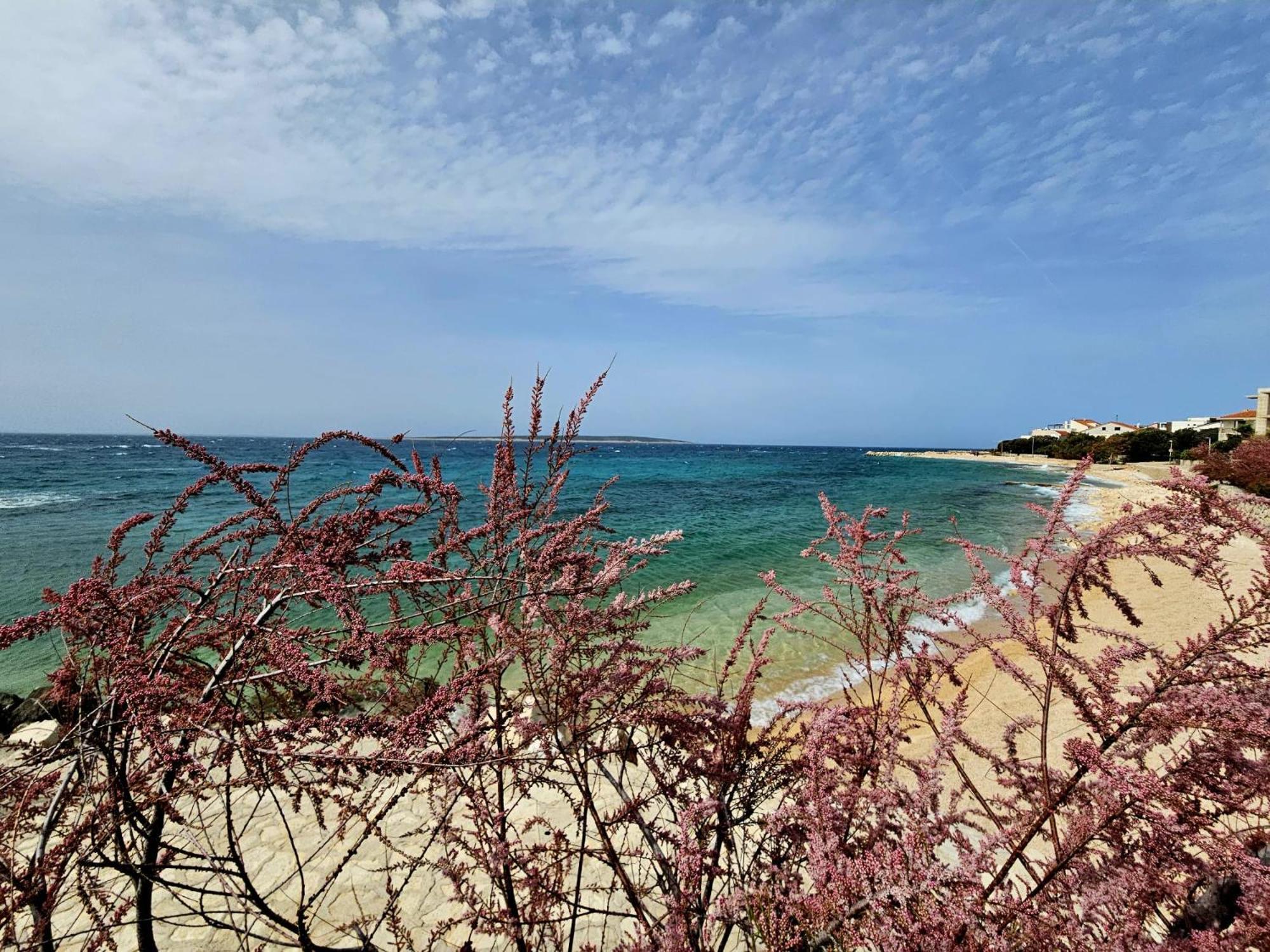Apartments Cikac II - Modern Apartments By The Beach มันเดร ภายนอก รูปภาพ